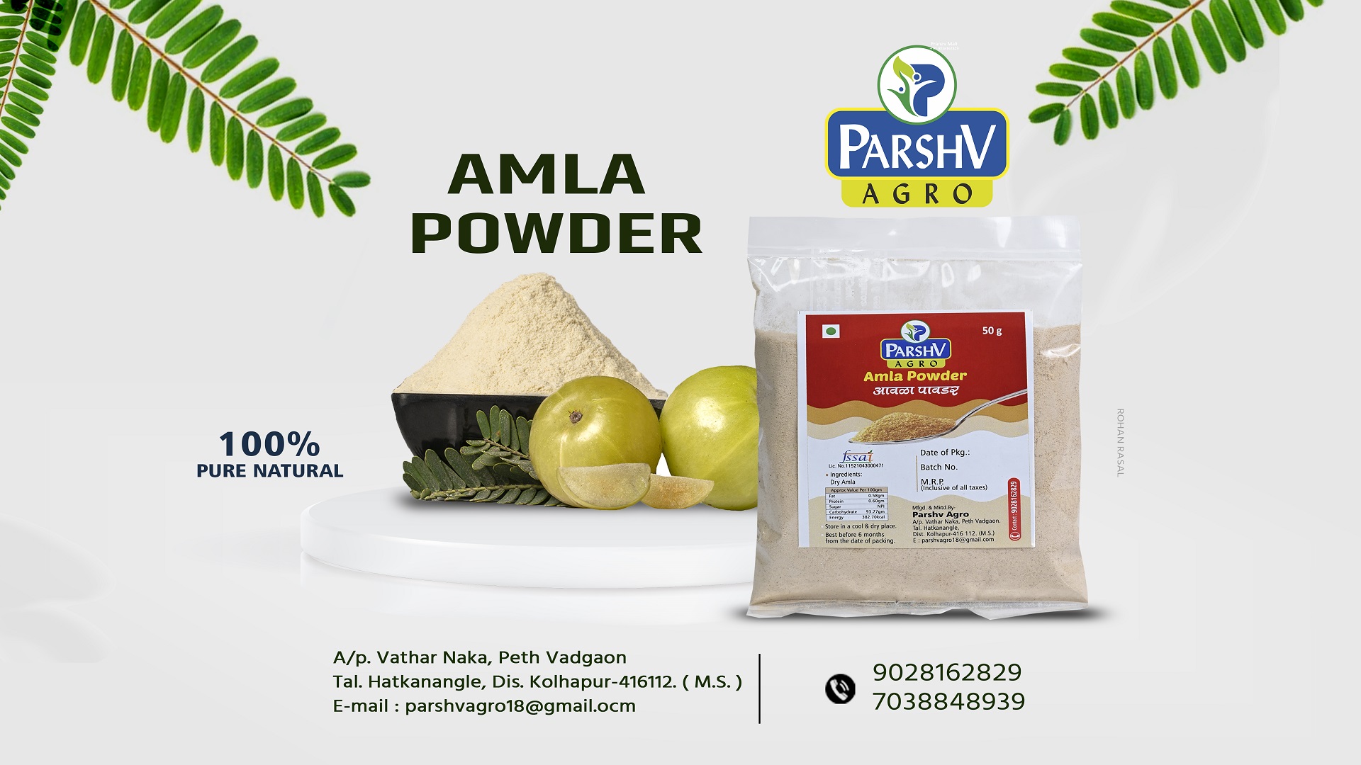 Amla Powder - PARSHV AGRO